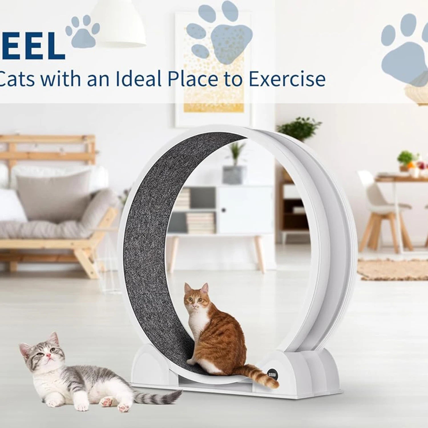 HiMISSCN Cat Exercise Wheel Indoor Running Wheel For Cats - Arthur's Wellness Emporium