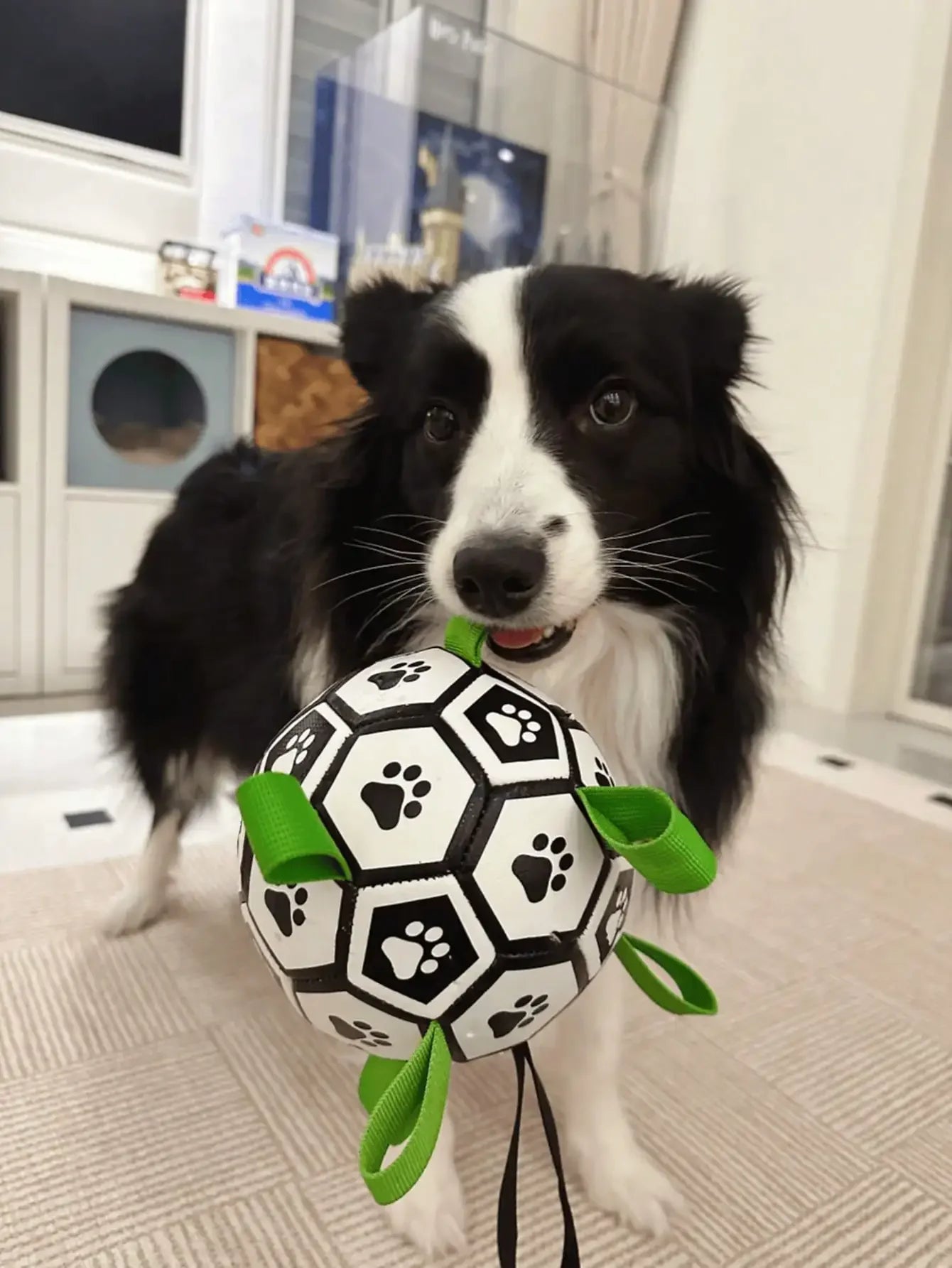 Chew-Resistant Dog Soccer Ball Toy With Air Pump For All Breeds Indoor Outdoor - Arthur's Wellness Emporium
