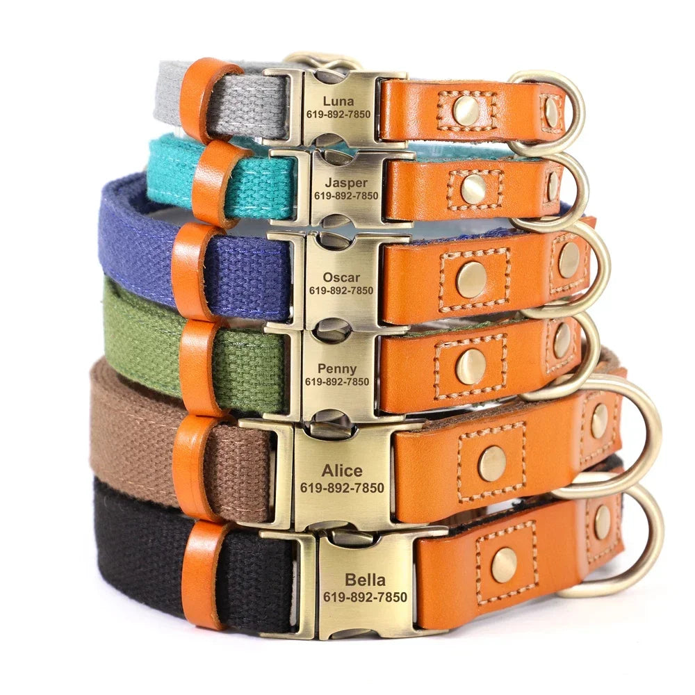 Nylon Dog Collar Leash Set With Personalized Nameplate ID Tag - Arthur's Wellness Emporium