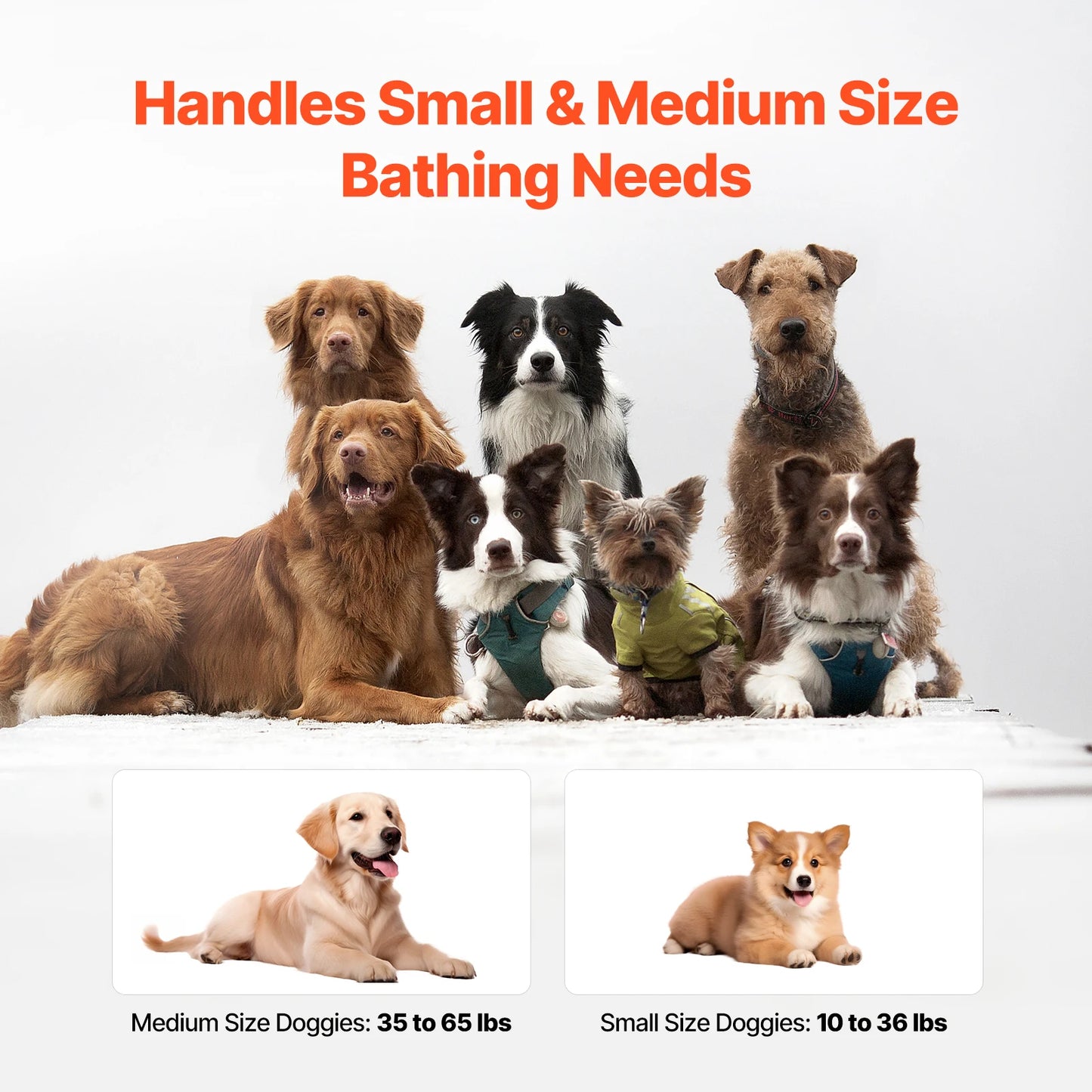 Portable Dog Bathtub Elevated And Foldable Shower Station With Drainage - Arthur's Wellness Emporium