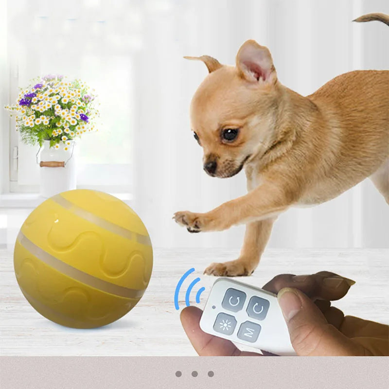 Otmagelu Smart Interactive Dog Toy Ball With Remote Control - Arthur's Wellness Emporium