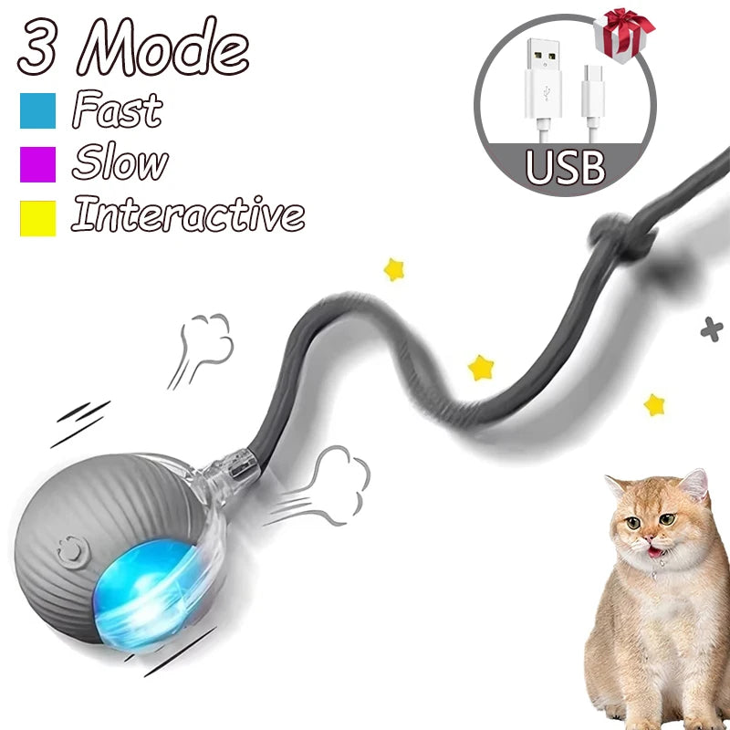Cat Interactive Ball Toy Automatic Rolling Faux Tail Rechargeable - Arthur's Wellness Emporium