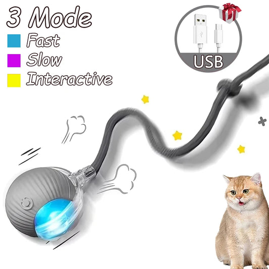 Cat Interactive Ball Toy Automatic Rolling Faux Tail Rechargeable - Arthur's Wellness Emporium