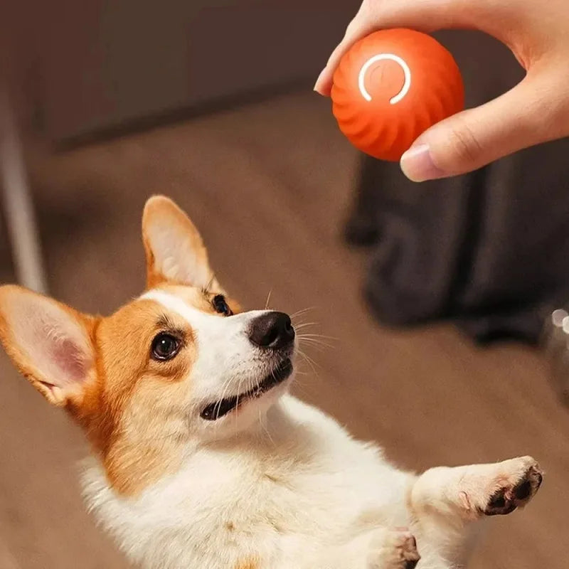 Automatic Moving Dog Ball Toy USB Interactive Puppy Chew Ball