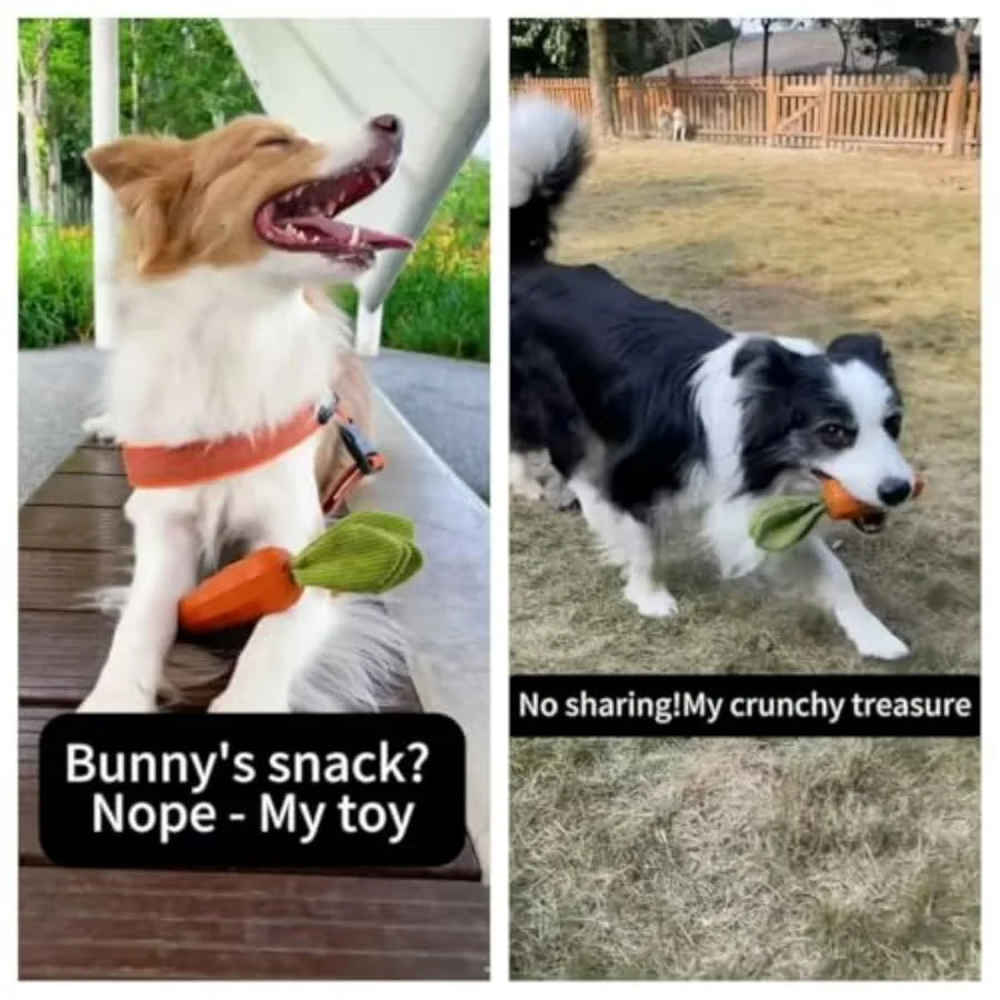 Durable Rubber Carrot Squeaky Dog Toy for Aggressive Chewers