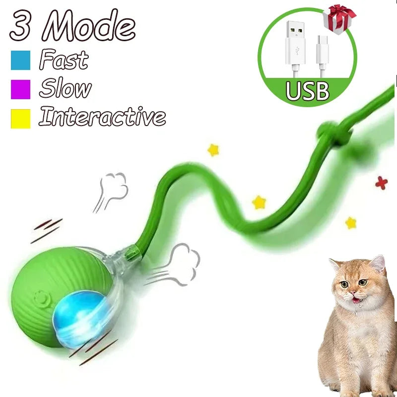 Cat Interactive Ball Toy Automatic Rolling Faux Tail Rechargeable - Arthur's Wellness Emporium