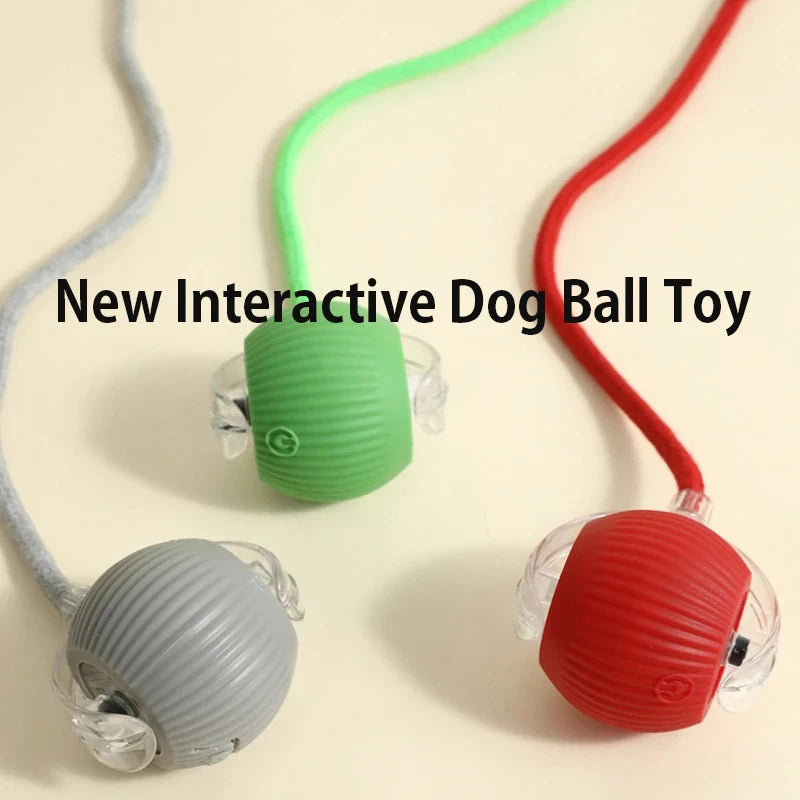 Interactive Dog Ball Toy Automatic Rolling Rechargeable