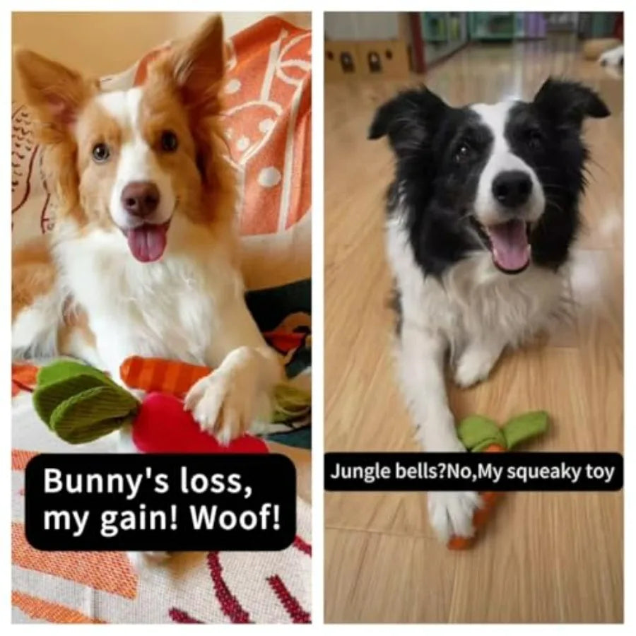 Durable Rubber Carrot Squeaky Dog Toy for Aggressive Chewers