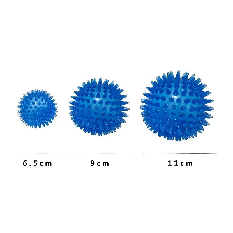 TPR Squeaky Dog Ball Toy Tooth Cleaning Chew For Training - Arthur's Wellness Emporium