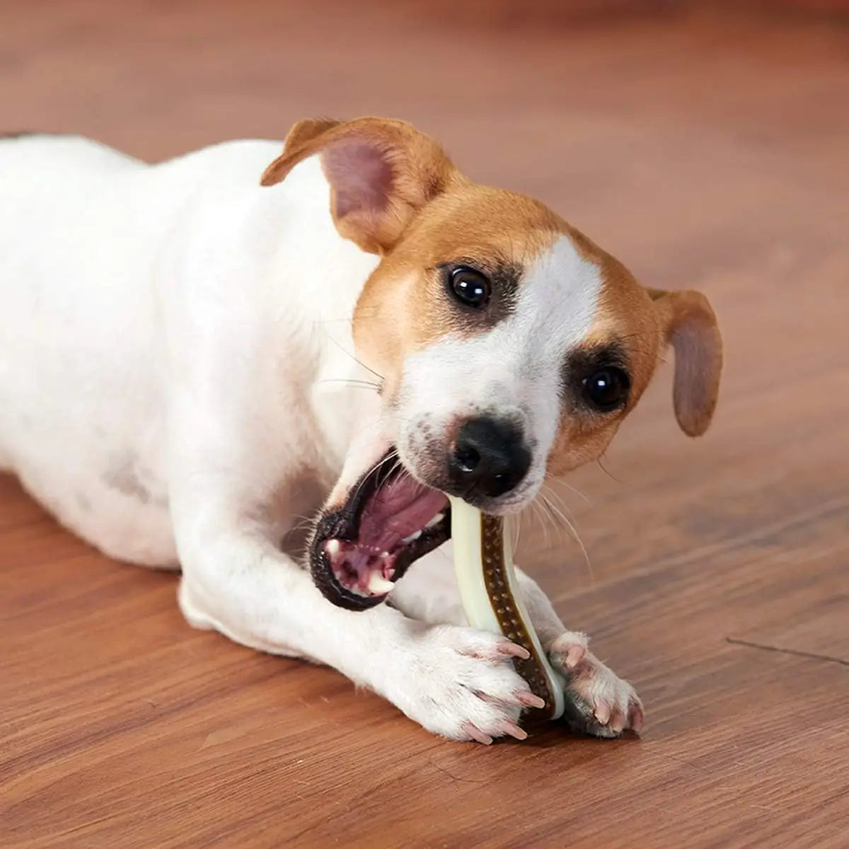 Beef Flavor Dog Chew Toys Nylon Bones For Aggressive Chewers
