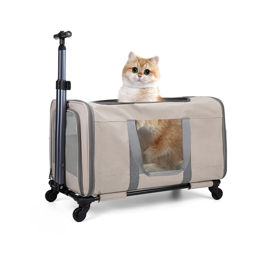 Cat Trolley For 2 Cats Wheeled Carrier With Safety Belts - Arthur's Wellness Emporium