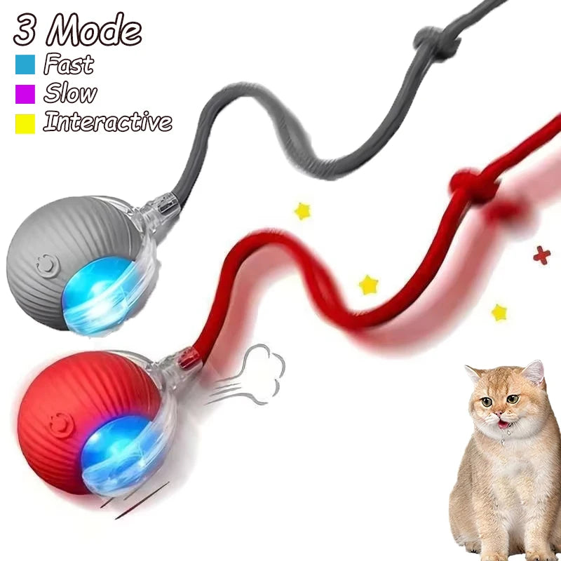 Cat Interactive Ball Toy Automatic Rolling Faux Tail Rechargeable - Arthur's Wellness Emporium