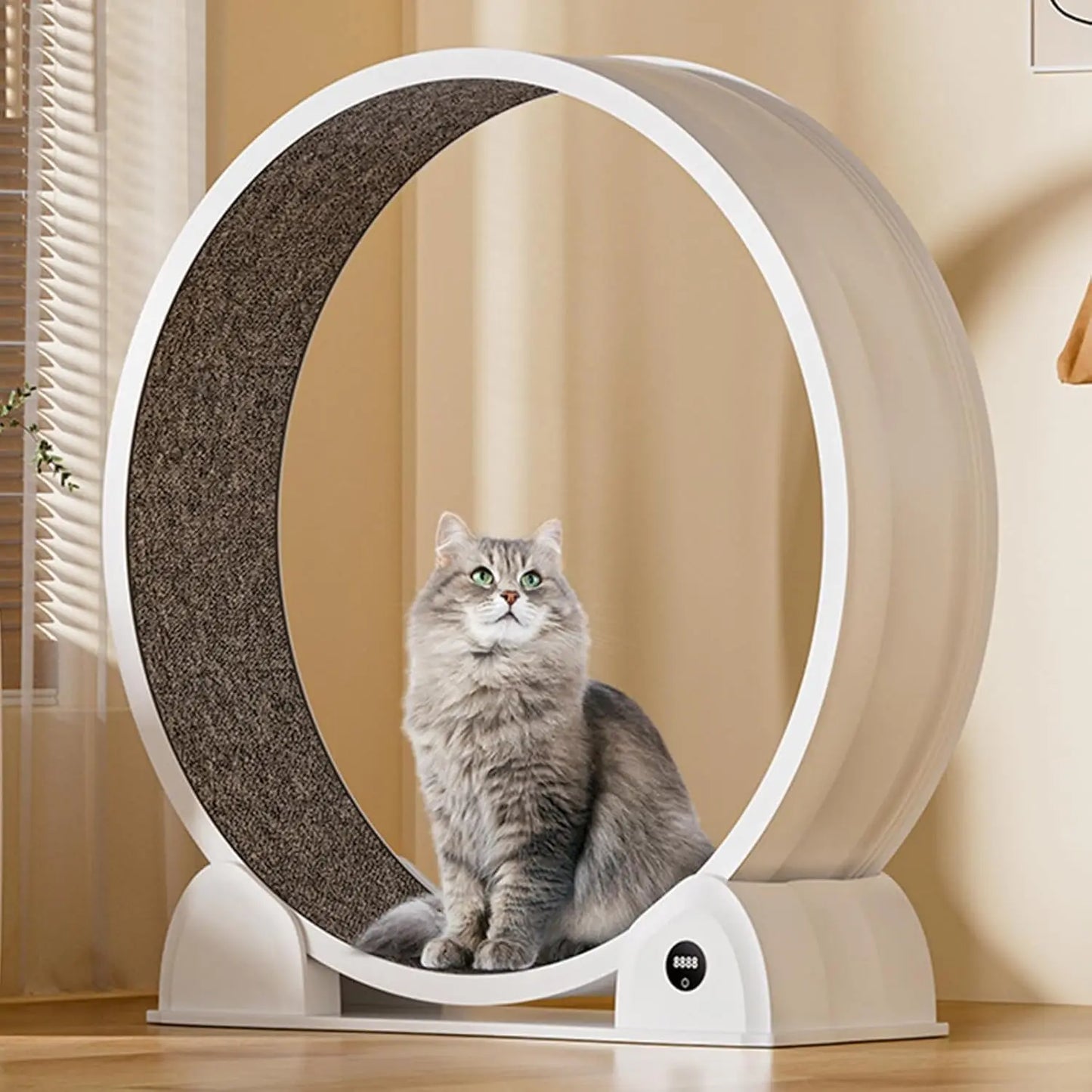 HiMISSCN Cat Exercise Wheel Indoor Running Wheel For Cats - Arthur's Wellness Emporium