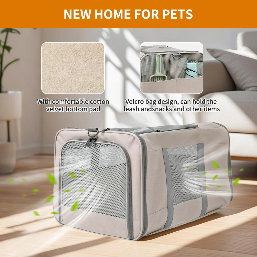 Cat Trolley For 2 Cats Wheeled Carrier With Safety Belts - Arthur's Wellness Emporium