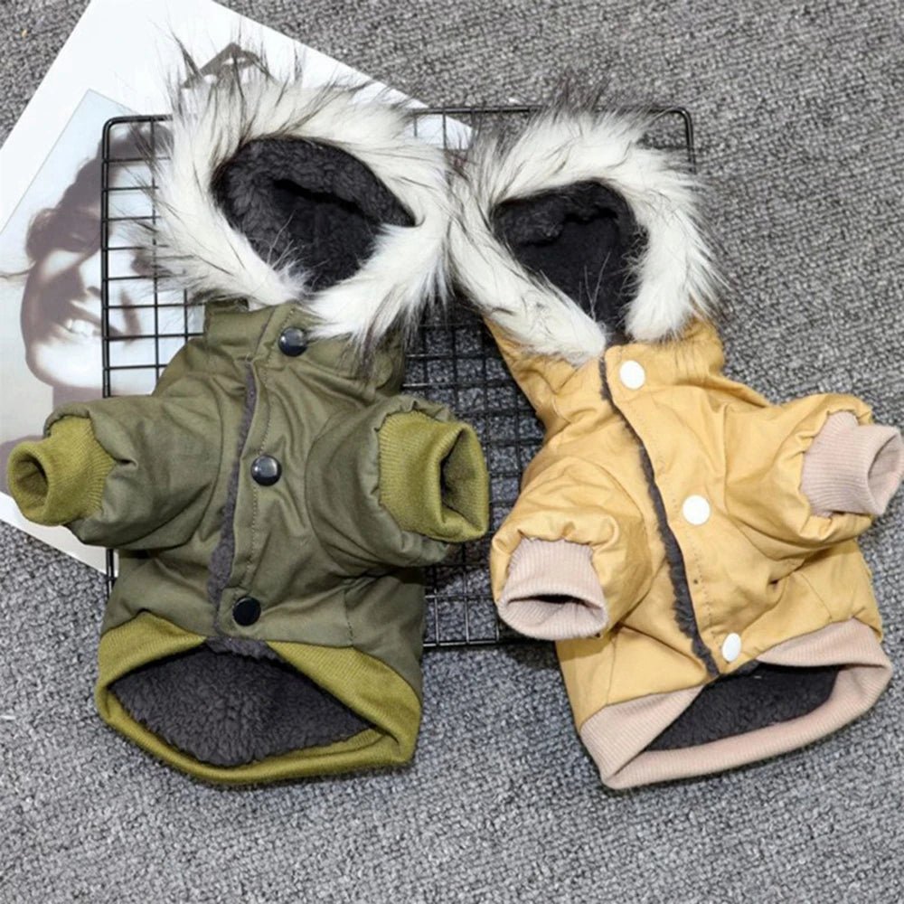 Dog Jacket With Harness For Winter Hiking Outdoors - Arthur's Wellness Emporium